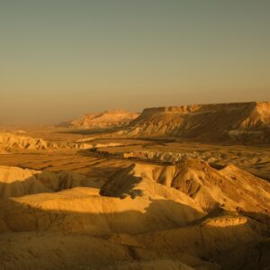 Discovering Our Roots